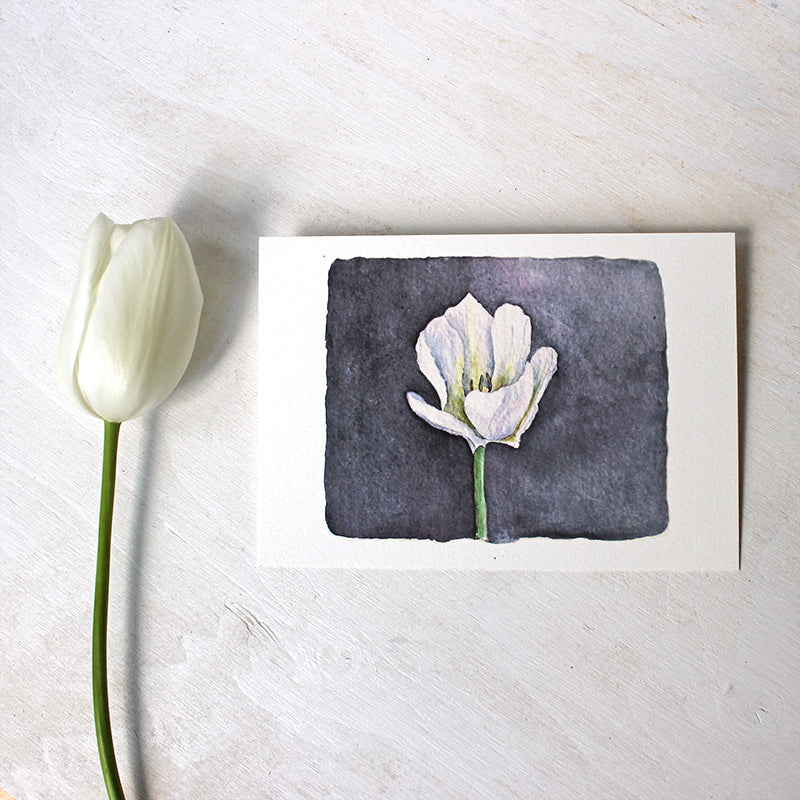 Beautiful white tulip print (5 x 7) by watercolor artist Kathleen Maunder