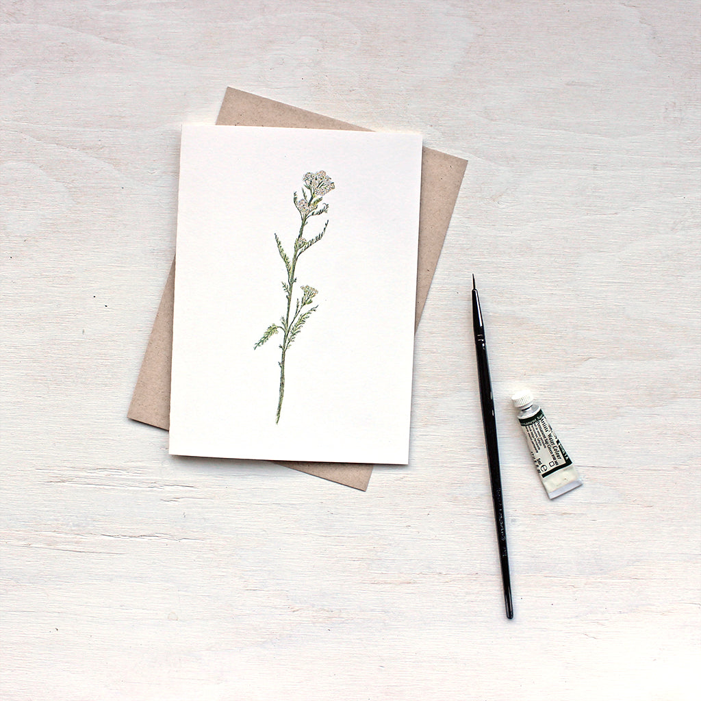 White yarrow (Achillea millefolium) note cards by watercolor artist Kathleen Maunder