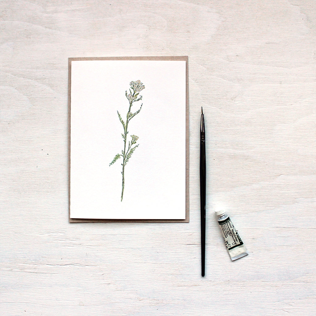 White yarrow watercolor note cards featuring a painting by Kathleen Maunder