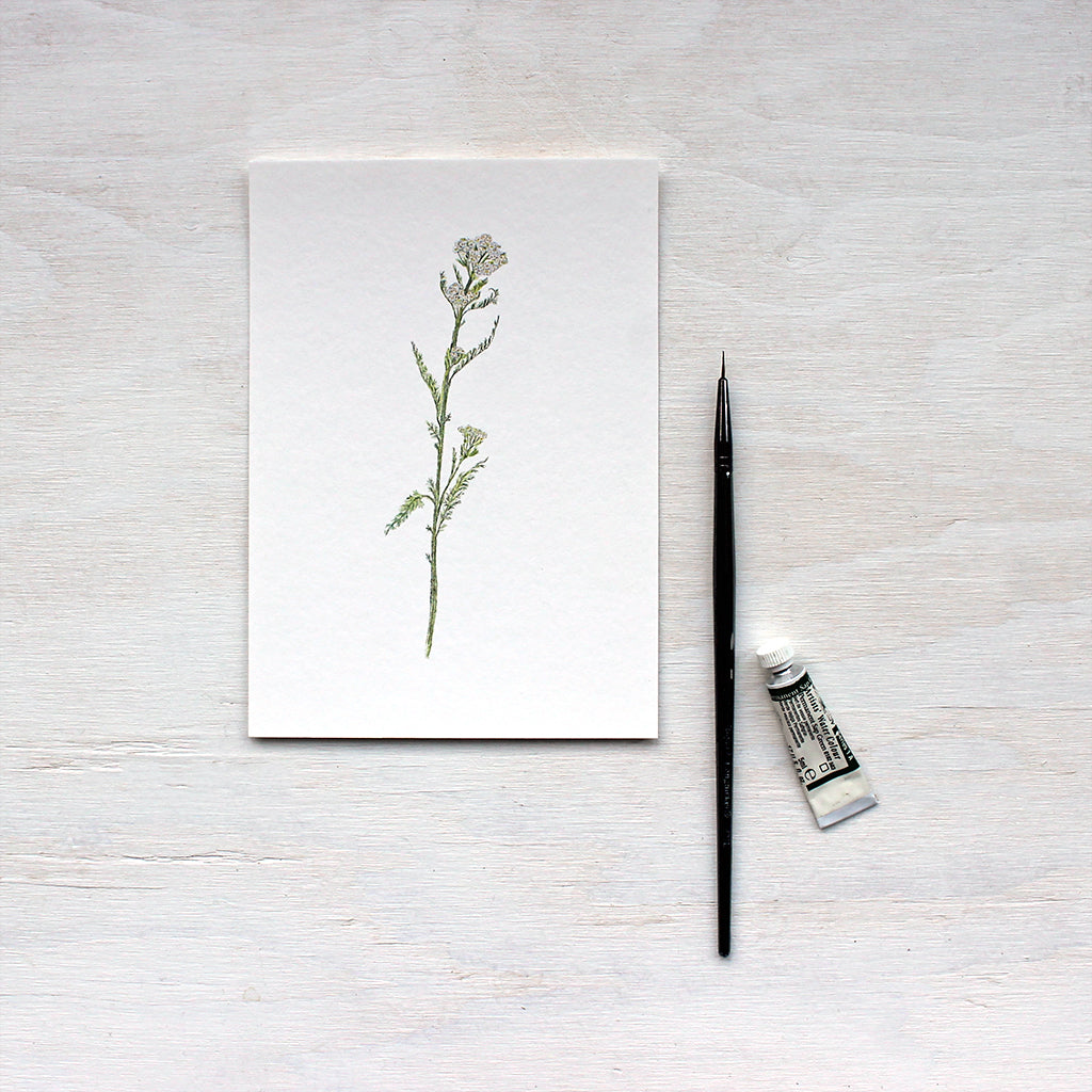 White Yarrow Art Print featuring a watercolor painting by artist Kathleen Maunder