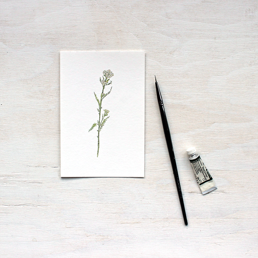 Art print featuring a watercolor painting of white yarrow by Kathleen Maunder
