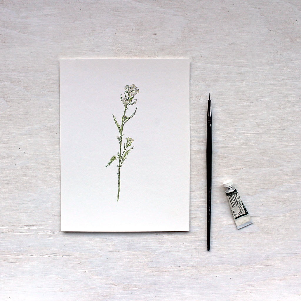 White Yarrow Art Print featuring a watercolor by artist Kathleen Maunder