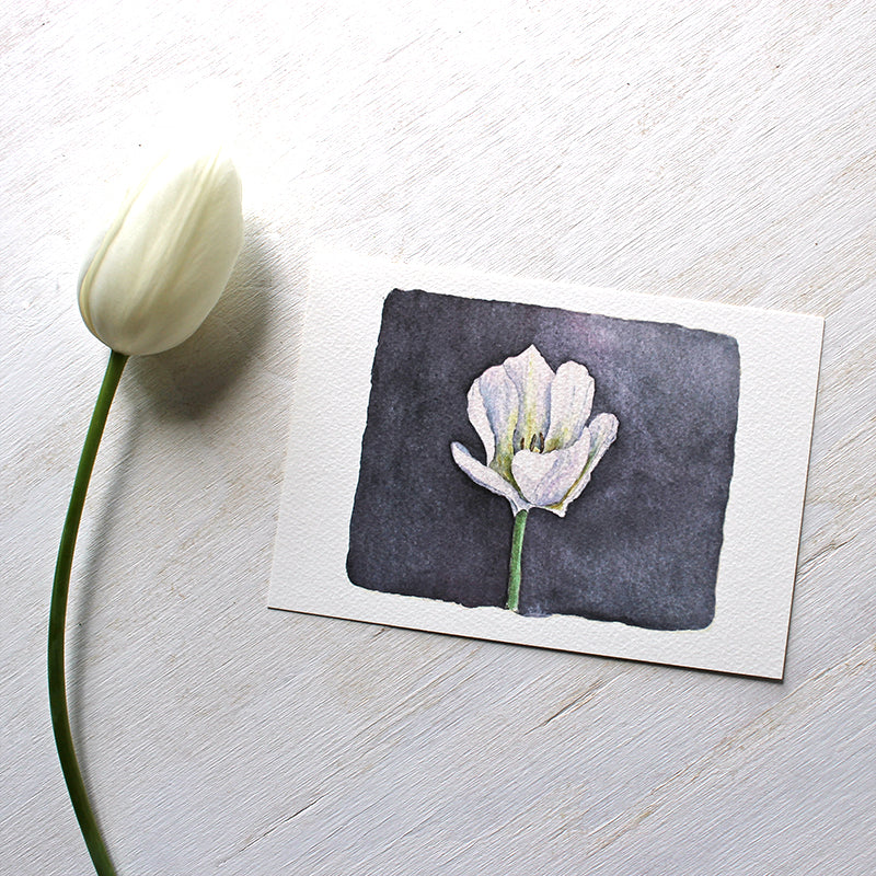 White tulip watercolour - 5 x 7 print by Kathleen Maunder of Trowel and Paintbrush