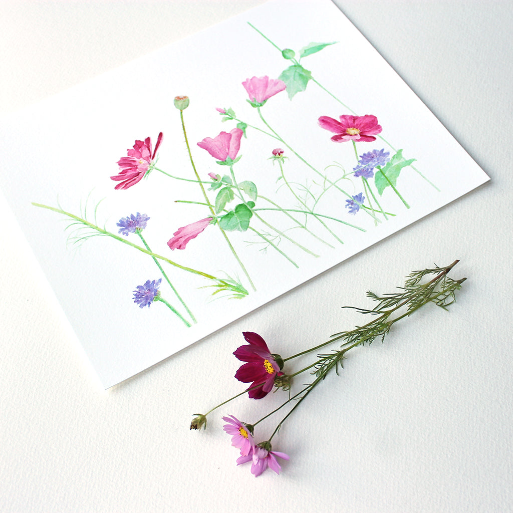 A lovely art print based on an original watercolor painting by Kathleen Maunder. The image includes cosmos, malva and cornflowers.