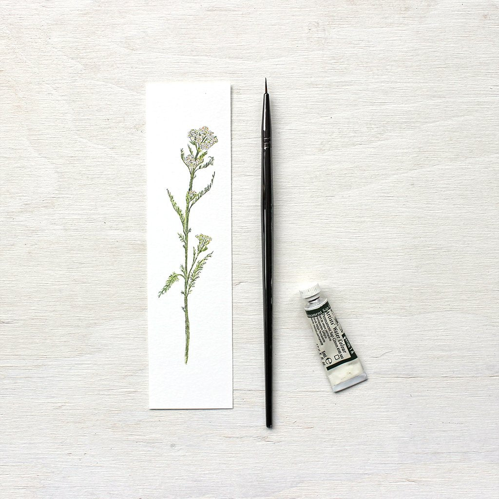 White yarrow watercolor bookmark by artist Kathleen Maunder