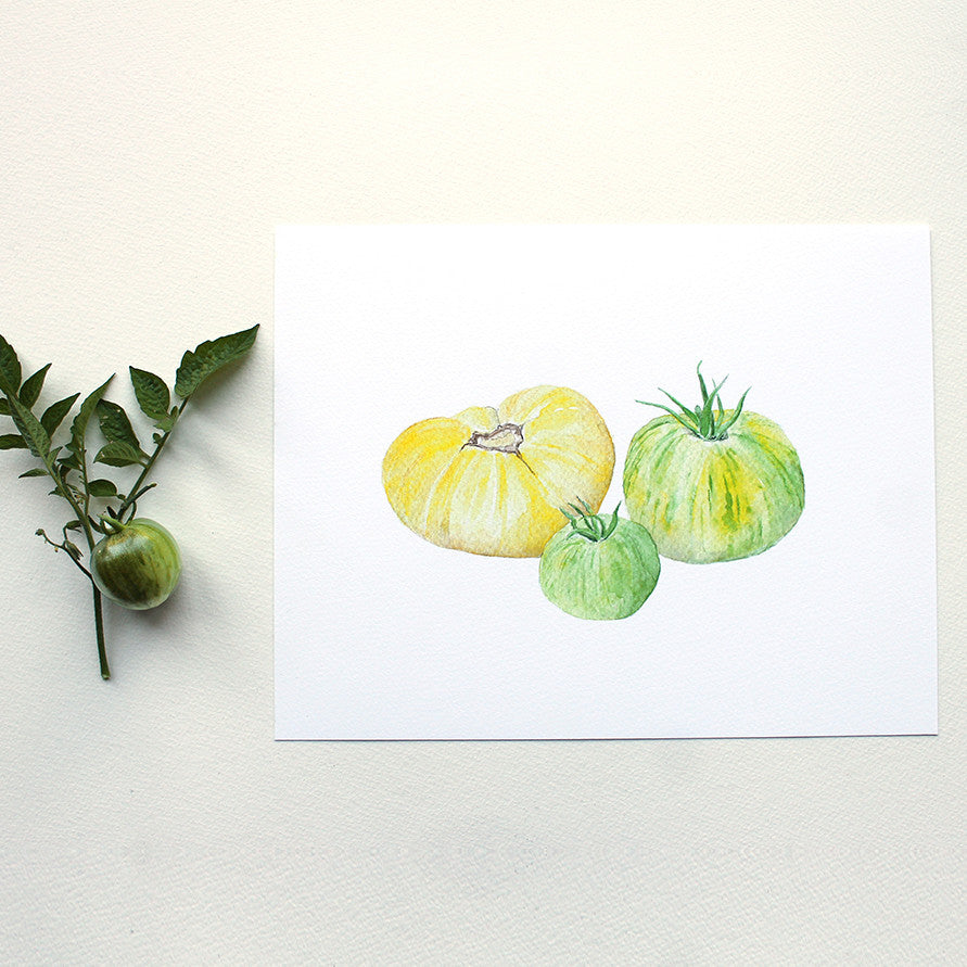 Heirloom yellow and green zebra garden tomatoes. Watercolor print by artist Kathleen Maunder