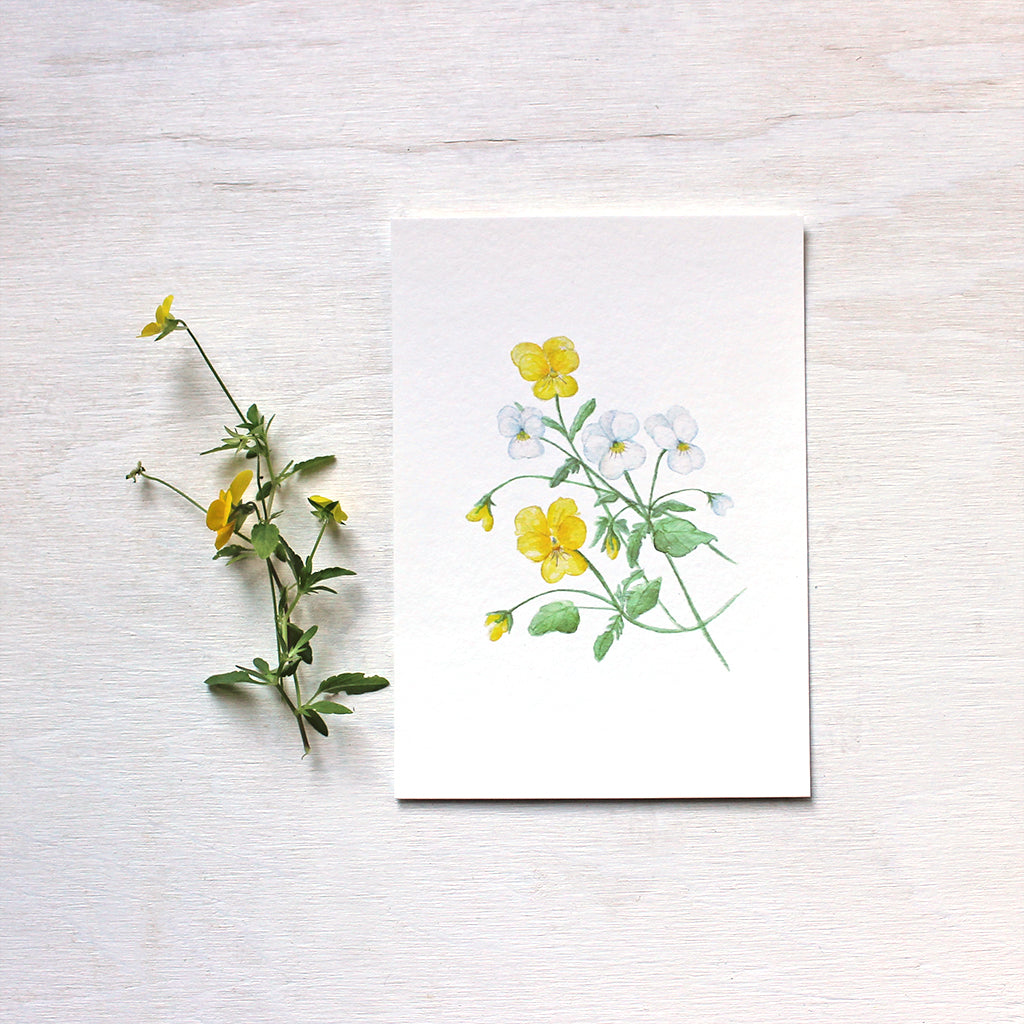 Print of botanical painting depicting yellow and white violas by watercolour artist Kathleen Maunder