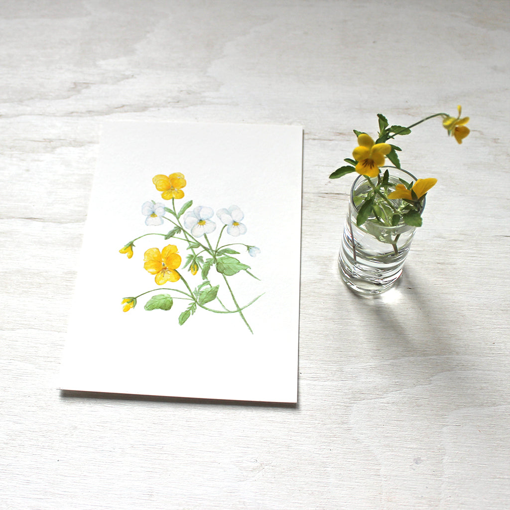 Watercolor painting of yellow and white violas by artist Kathleen Maunder. Available as 5x7 print.